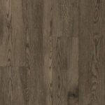 Thumbnail of 