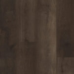 Thumbnail of 