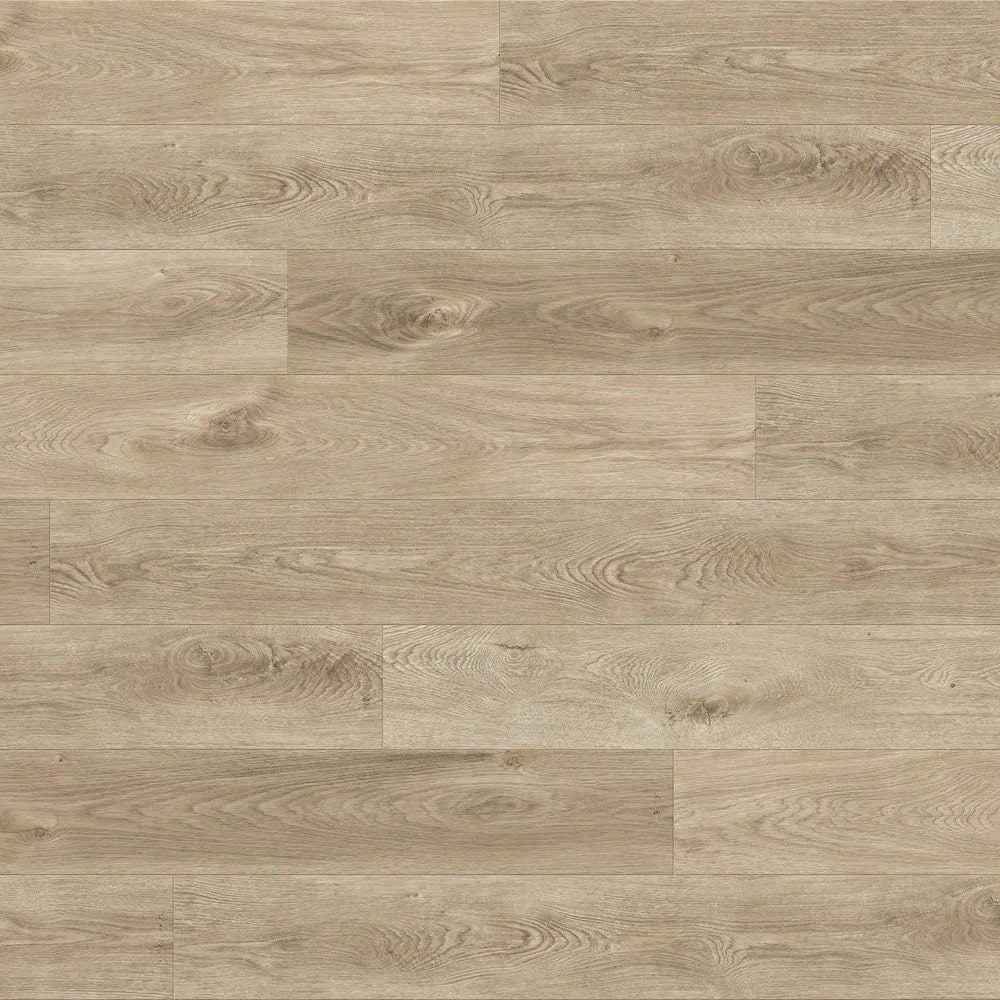 Momentum Stucco Swatch