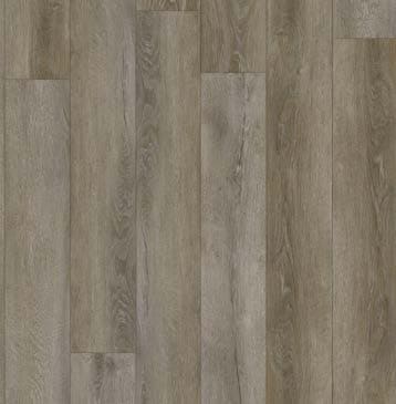 Canyon Oak Swatch