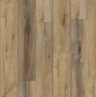 Colorado Pine Swatch