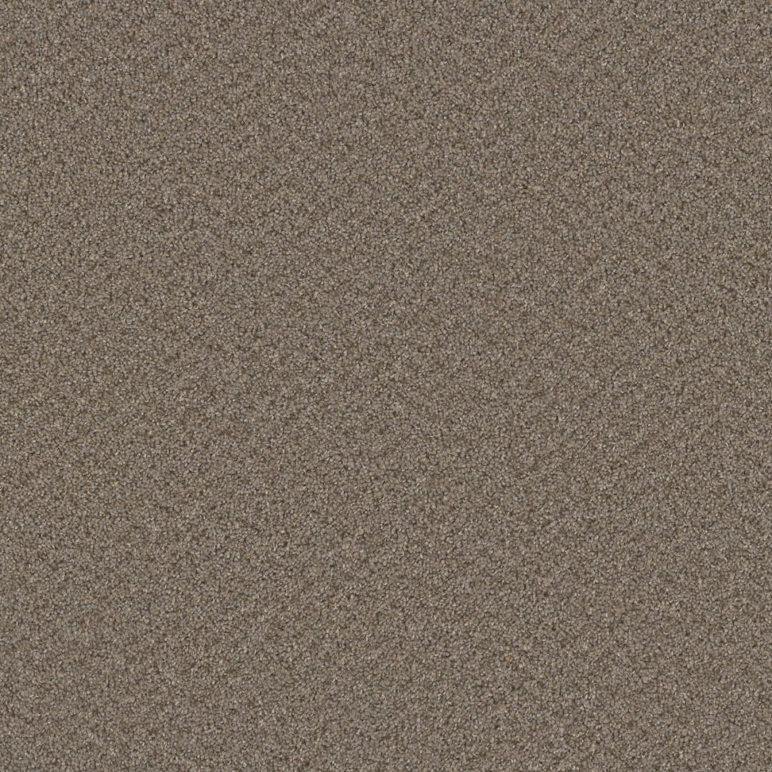Alloy Swatch