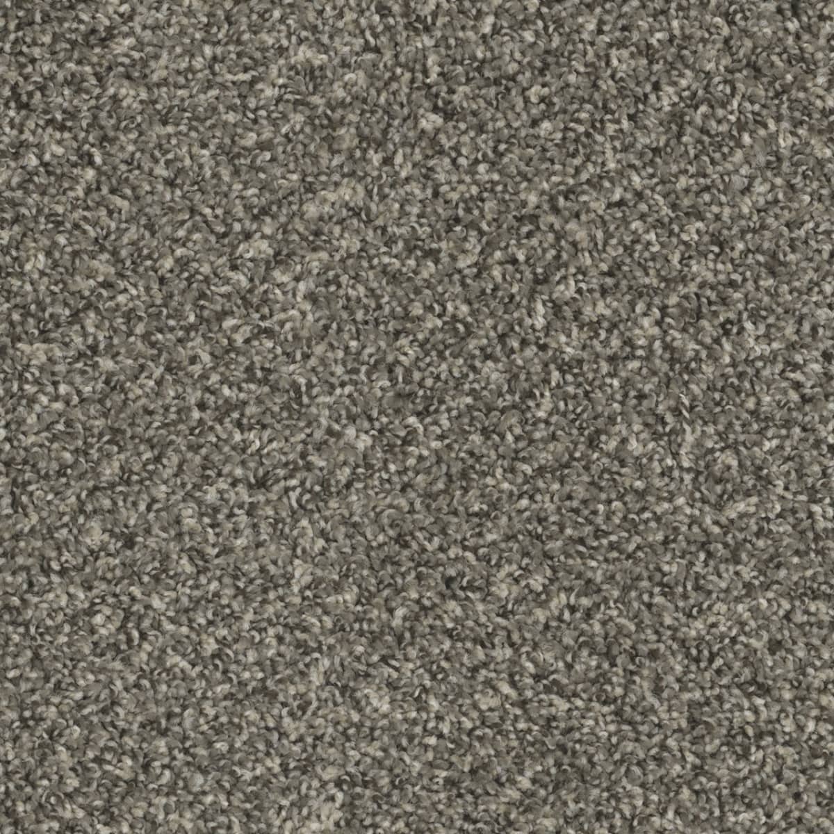 Carbon Swatch
