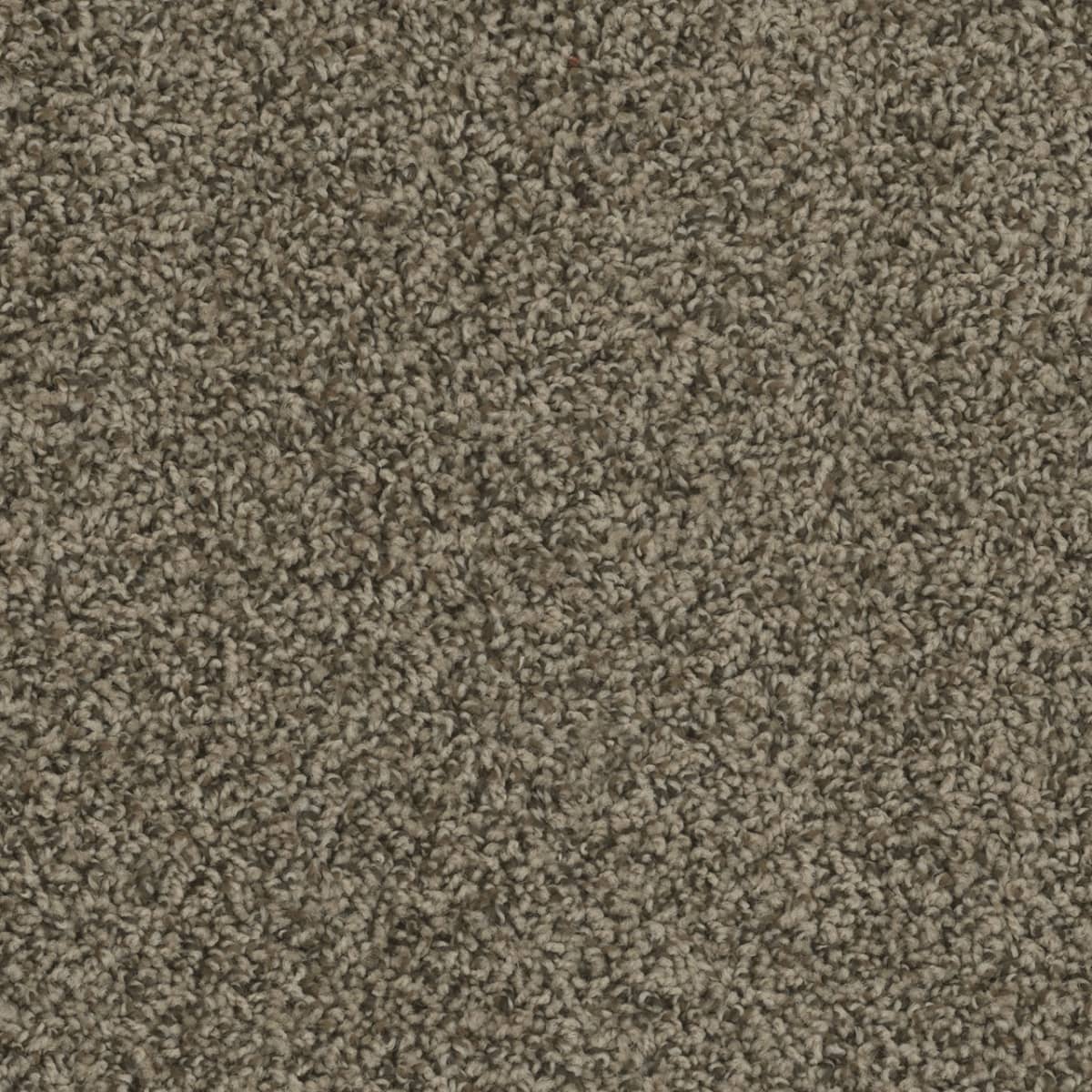 Ember Swatch