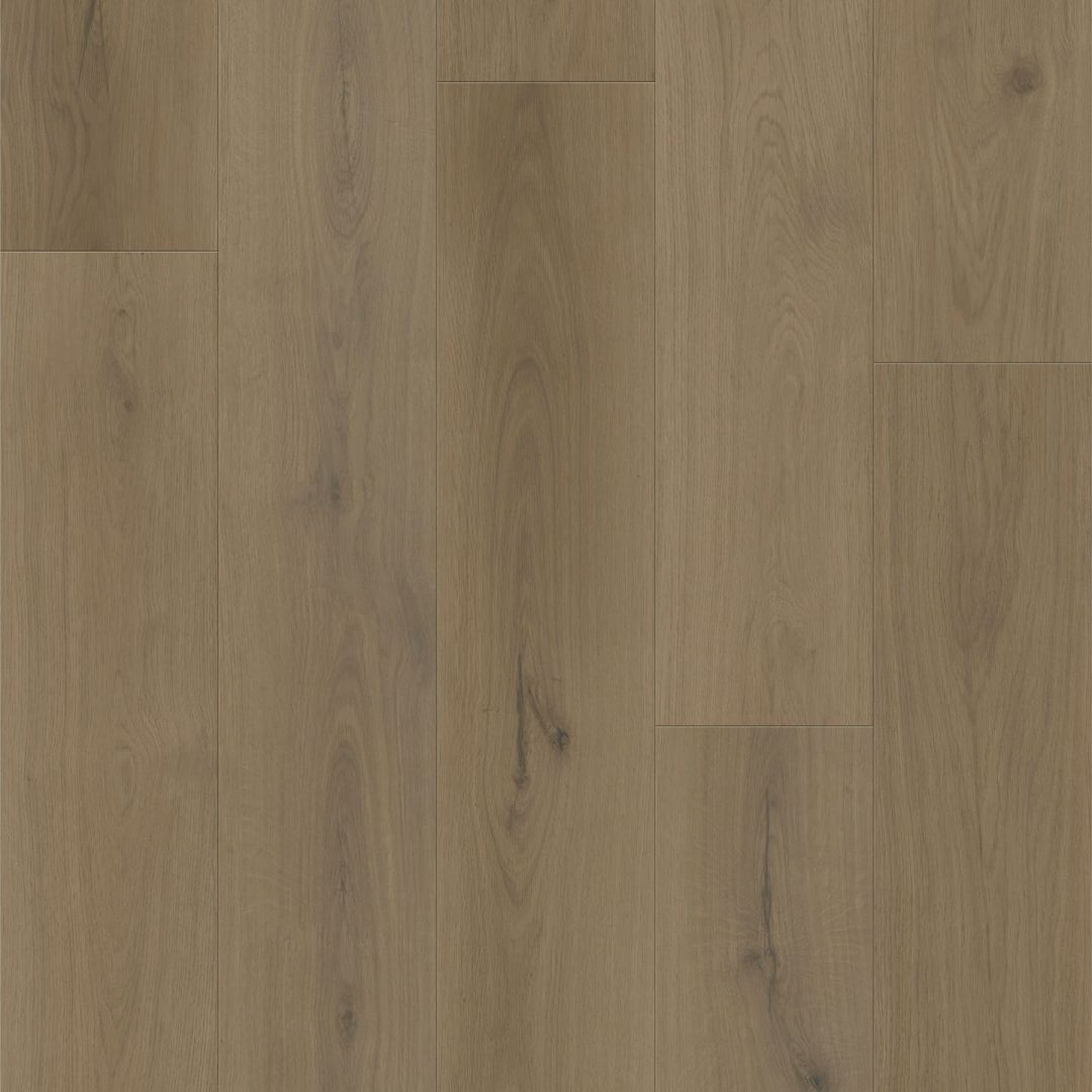Evergreen Timber Swatch